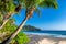 Sunset at tropical sandy beach with coco palms and turquoise sea