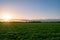 Sunset and twilight sky cloud on the beautiful field of grass. Composition of nature.