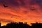 Sunset twilight view of the city skyline from my balcony