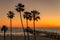 Sunset under palm trees and Manhattan Beach Pier