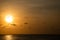 Sunset view of the beach with a plane silhouette taking off