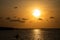 Sunset view of the beach with a plane silhouette taking off