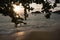 Sunset view of a beach with silhouette of tree, boats and small island