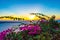 Sunset view and clifftop blooming bougainvillea Santorini Greece