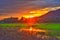 Sunset View With Cropped Mountain, Paddy Field