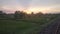 Sunset view in indian grassy farm in monsoon evening