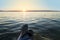 Sunset view of Lake Zugersee in the Swiss city of Zug.