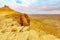 Sunset view of Makhtesh crater Ramon with Camel Mount lookout