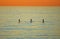 Sunset view of three paddle boarders off Heisler Park, Laguna Beach, California