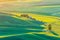 Sunset view of wheat fields in the rolling Palouse hills