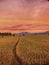 sunset with views of the expanse of rice fields and Mount Talang