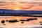 Sunset views of the tidal marshes of Alviso, Don Edwards San Francisco Bay National Wildlife Refuge, San Jose, California