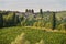 Sunset vineyard - Tuscany