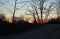 Sunset visible through tree branches