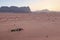 Sunset in the Wadi Rum desert, Jordan, with local bedouins and camels on foreground