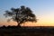 Sunset at the waterhole at the Okaukeujo Rest Camp, Etosha National Park, Namibia
