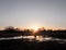 sunset waterlogged country walkway white sky autumn field dedham people