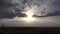 Sunset in Wheat Field, Agriculture View, Grains, Cereals, Harvest in Summer