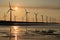 Sunset of wind farm at Gaomei Wetland refuge, taiwan