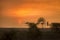 Sunset with a windmill silhouette at the forest edge