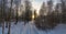 Sunset in a winter forest with a distant road.