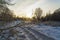 Sunset in a winter forest with a distant road.