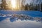 Sunset in the winter forest. The sun`s rays break through the snow-covered trees. Picture of winter calm. Natural background