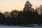 Sunset winter landscape of frozen pond in the forest. Evergreen wood and shore in snow. Winter season in the Pushcha-Vodytsia.