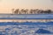 Sunset in Winter tale. Jilin Rime Islands of Northeast