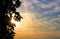 Sunset with Wispy Clouds and Silhouette of Tree on Left Side