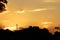 Sunset with yellowish sky full of orange clouds, with tropical rainforest in the background