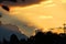 Sunset with yellowish sky full of orange clouds, with tropical rainforest in the background