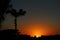 Sunset with yellowish sky full of orange clouds, with tropical rainforest in the background