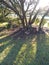 Sunsetting on a freshly groomed garden bed