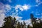 Sunshine above forest fir trees and clouds Brocken Harz Germany