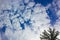 Sunshine above forest fir trees and clouds Brocken Harz Germany