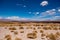 Sunshine Bolivian desert on the background of high rocky mountains