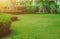 The sunshine in the evening shines through the trees down to the lawn of the front of the house beautifully, Green lawn, Front law
