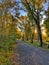 Sunshine Through A Fall Pathway