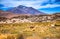 Sunshine field with lamas in Bolivia