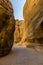 Sunshine lights up the path down a narrow gorge leading to the ancient city of Petra, Jordan
