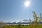 Sunshine over Turnagain Arm