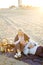 Sunshine photo of senior husband lying on wife knees and plaid, champagne and fruits.