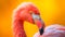 Sunshine Serenade: Realistic Pink Flamingo on Yellow Surface