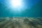 Sunshine underwater sandy seabed natural scene