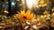Sunshine On A Yellow Flower: A Hyperrealistic Portrait Of Nature\\\'s Beauty