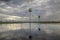 Sunst Palms landscape in La Estrella Marsh,