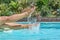Suntanned woman legs splashing in swimming pool, motion blur, closeup