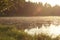 Sunup under early morning pine forest lake