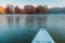 SUP board at lake and Taxodium trees with red needles. Orange swamp cypresses with fog